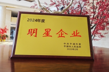 新春新景新形象 | 永利集团88304官网纸业在平湖三干大会上喜摘荣誉！！